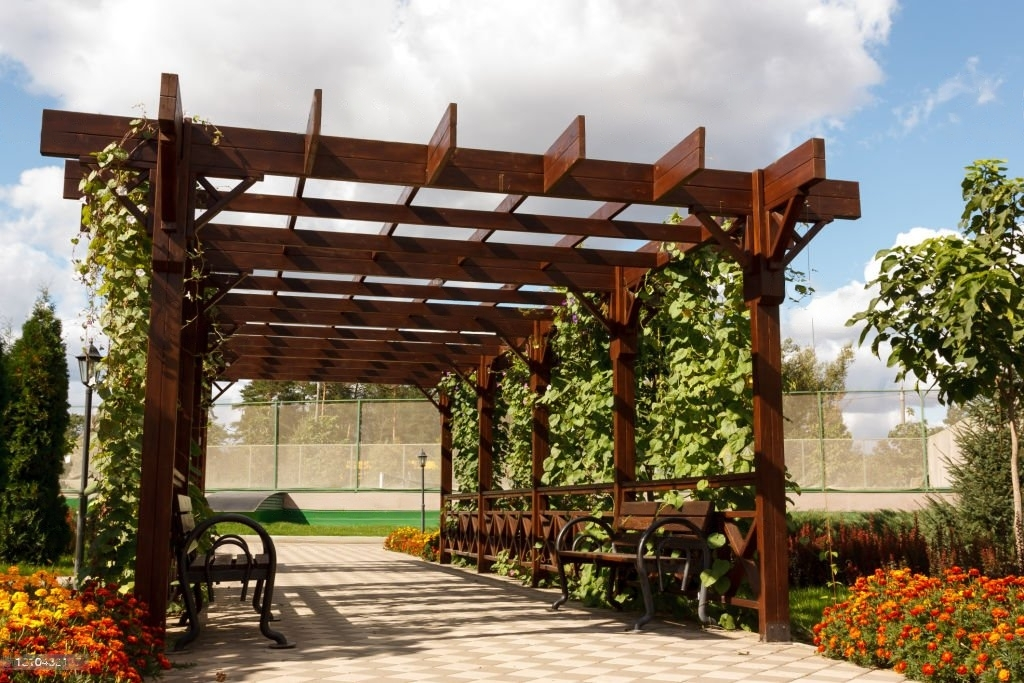 pergola canopy