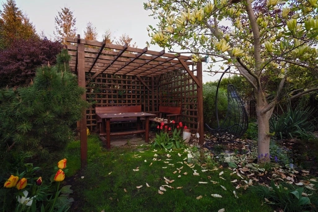 DIY pergola